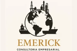 AnyConv.com__aureum-contabilidade-cliente-emerike-consultoria-empresarial